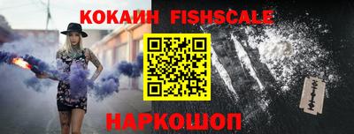 спиды Гай