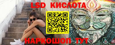 спиды Гай