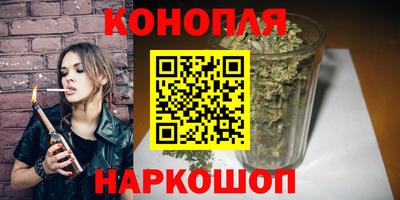 спиды Гай