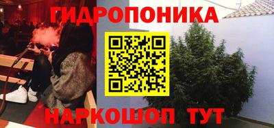 спиды Гай