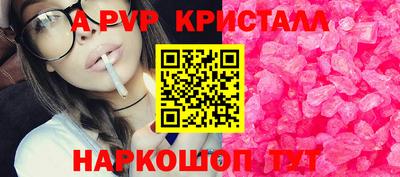 спиды Гай