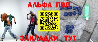 спиды Гай