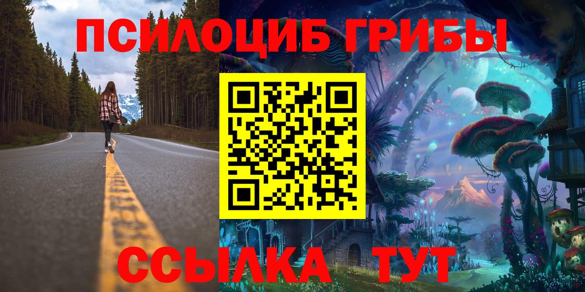 Галлюциногенные грибы Psilocybine cubensis Всеволожск