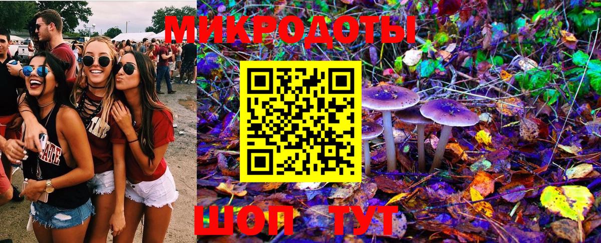 Всеволожск  Галлюциногенные грибы GOLDEN TEACHER  Вход с VPN 