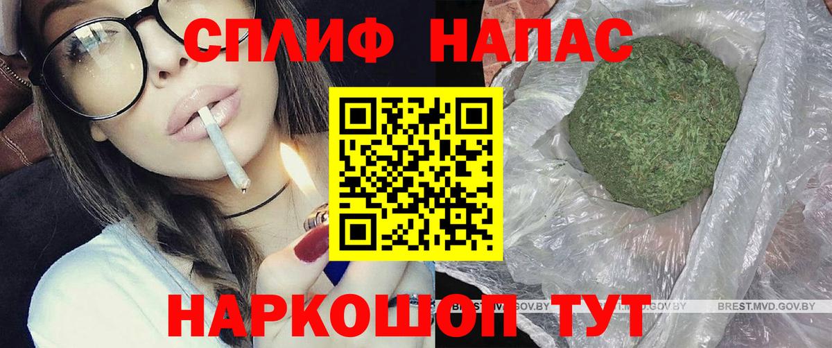 Бошки Шишки ГИДРОПОН Всеволожск